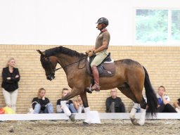 IMG_1556_web